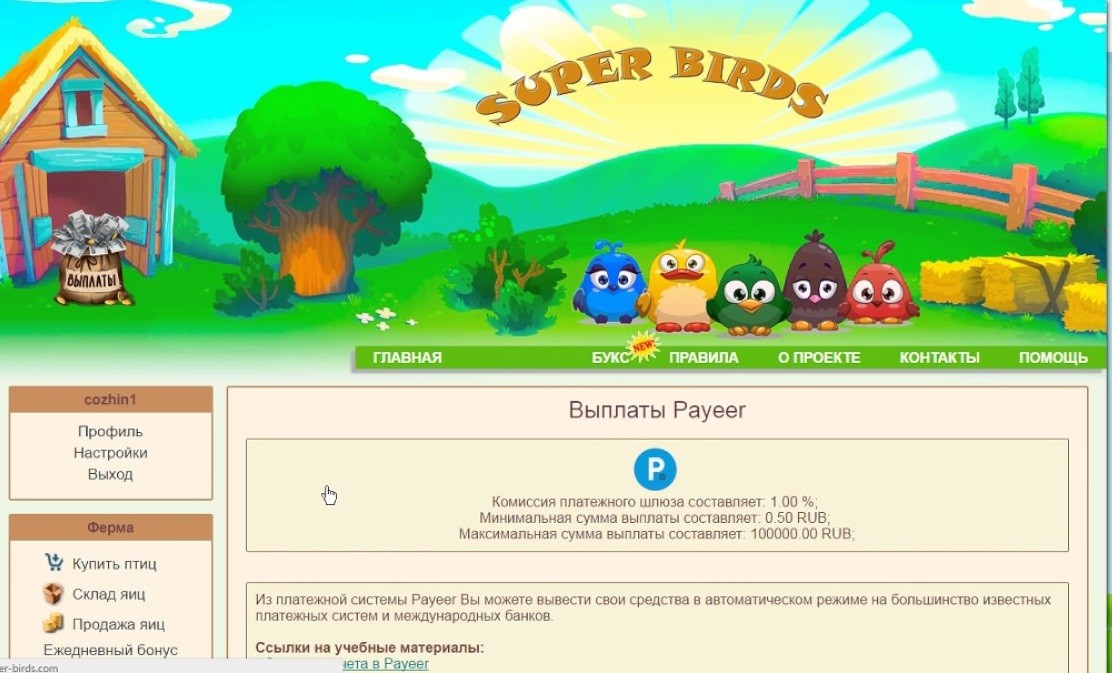 Super birds вывод денег