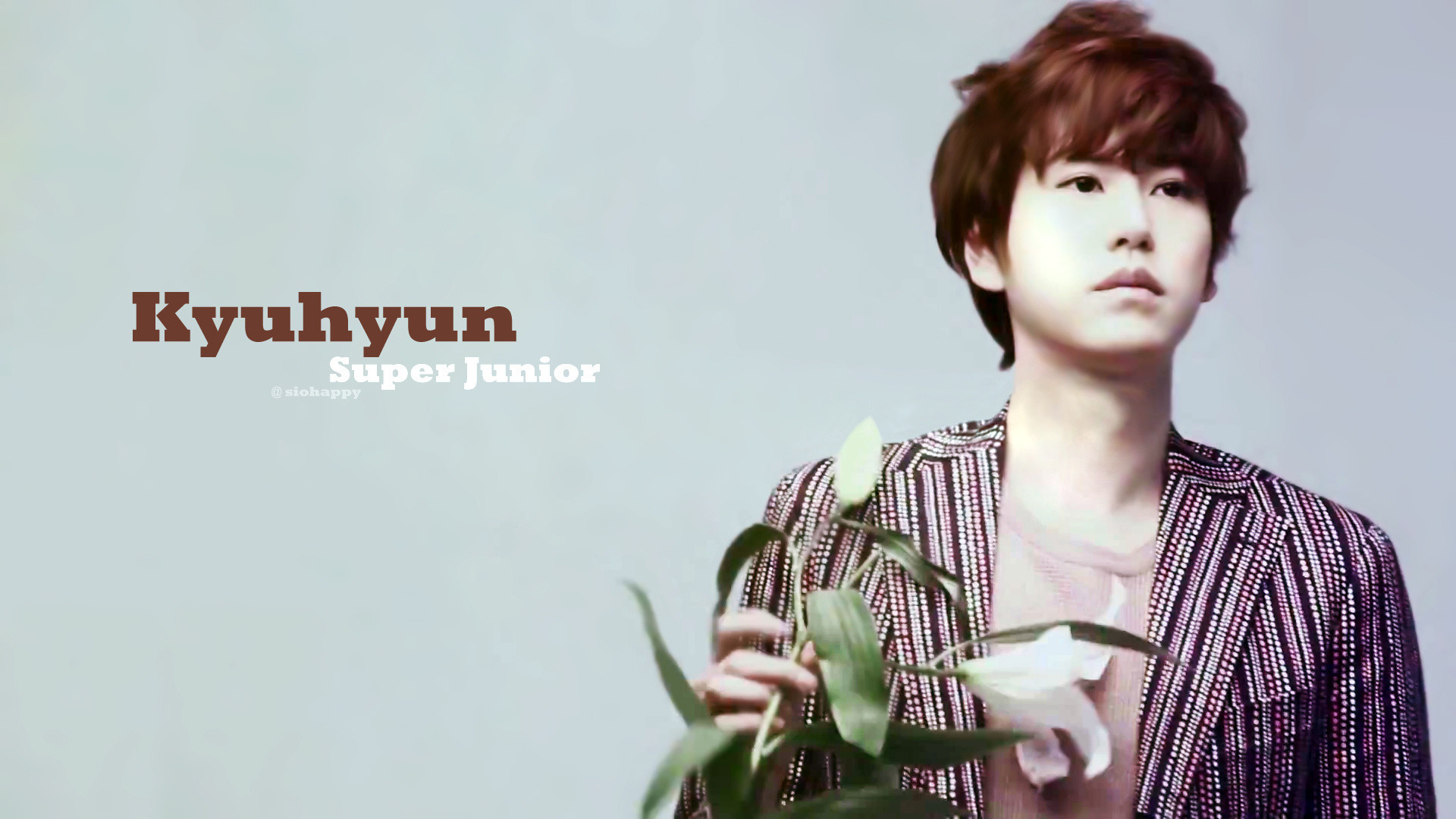 Super Junior Wallpapers - Sayfa 2 9mRjGO