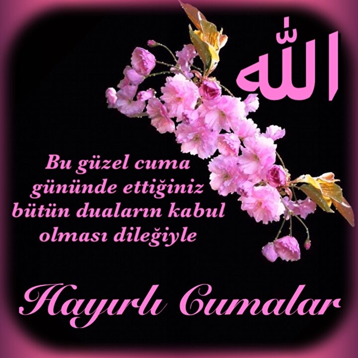 resim