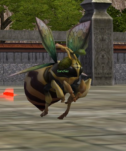 AOXakz.png
