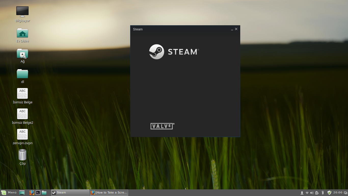 Game linux mint