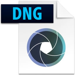 Adobe DNG Converter 9.6 Final | Katılımsız