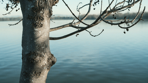 Ba3AkG.gif