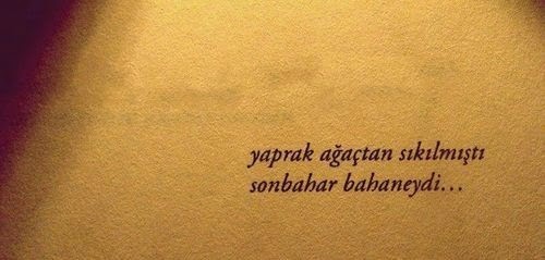 Ba8VPL.jpg