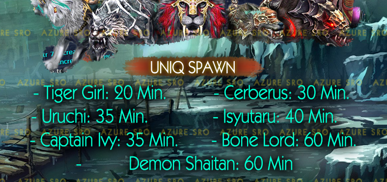 Bag2kM.png