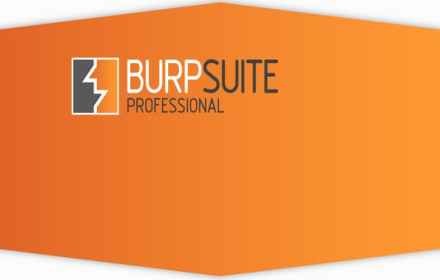 burp suite pro price