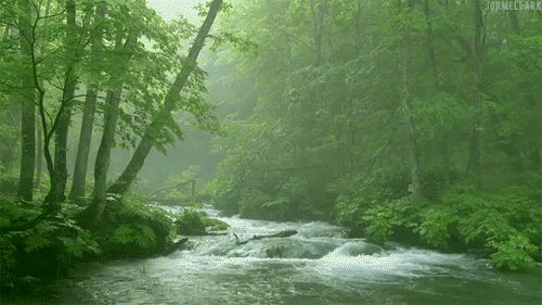 By4OrM.gif