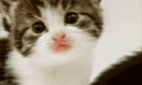 [Resim: D71ao6.gif]