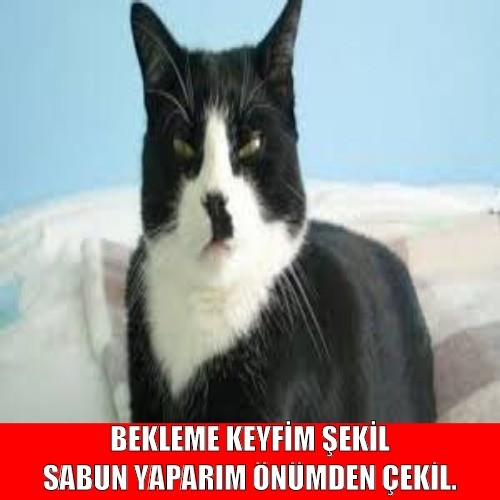 DY9OJo.jpg