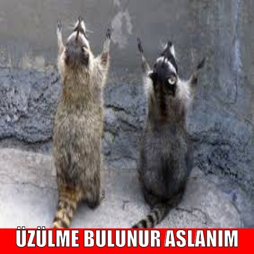 DY9Rqv.jpg