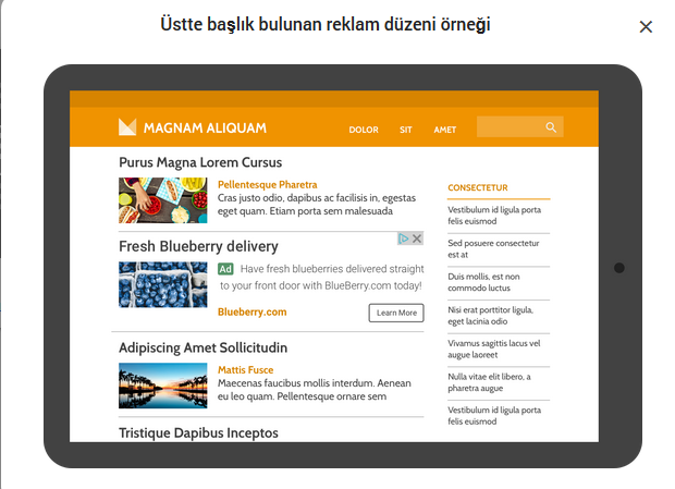 https://i.hizliresim.com/Dykabz.png