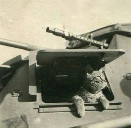 Eg7OzA.jpg