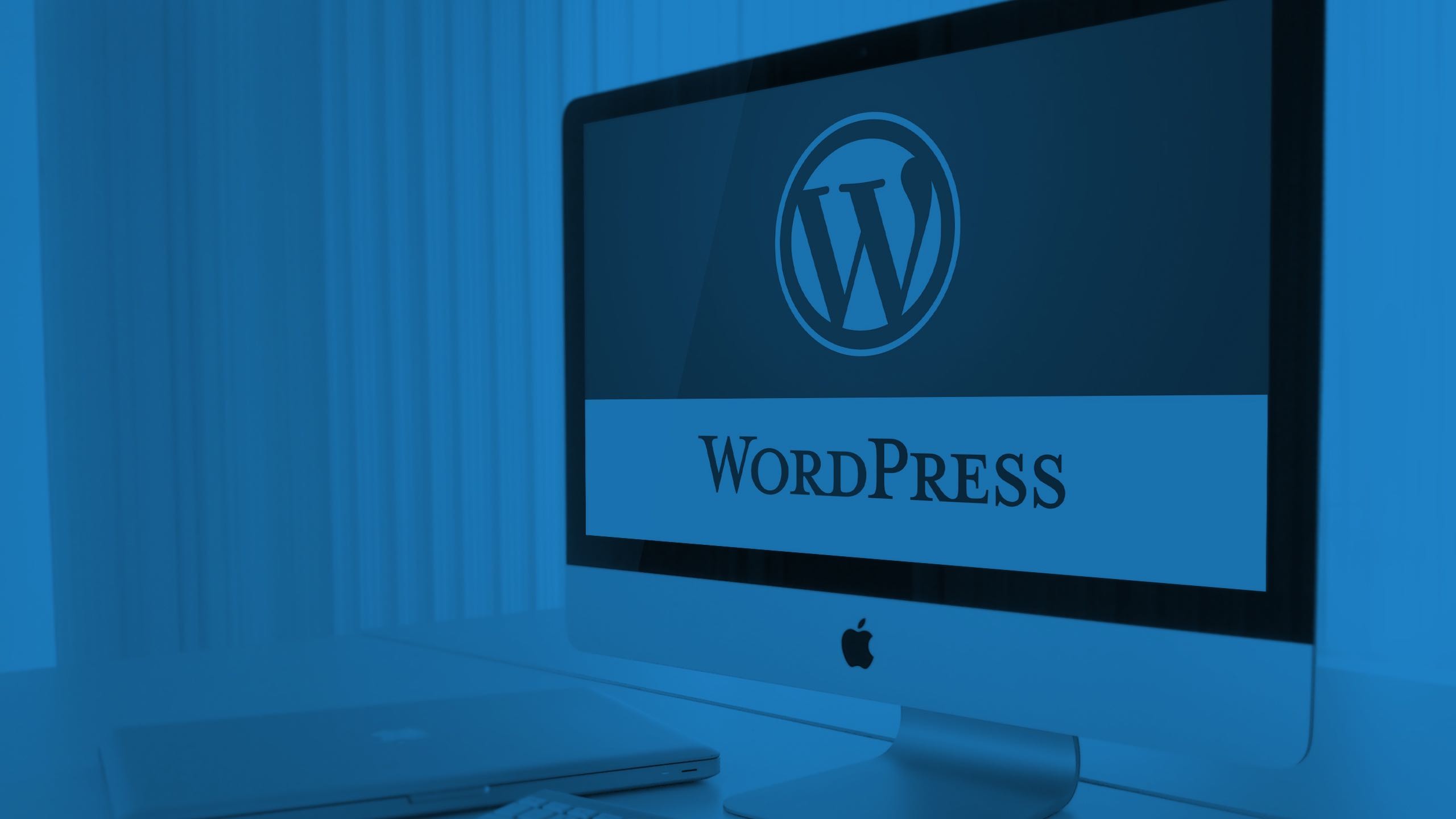 Wordpress баннеры. Вордпресс фото. WORDPRESS фон. Фон для вордпресс. WORDPRESS обои.