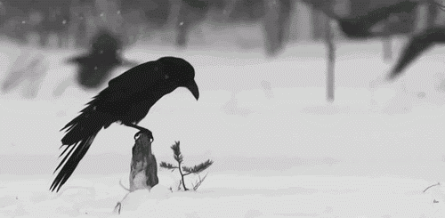 GBln33.gif