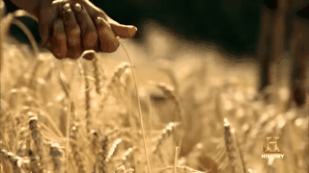 Gyaa7V.gif