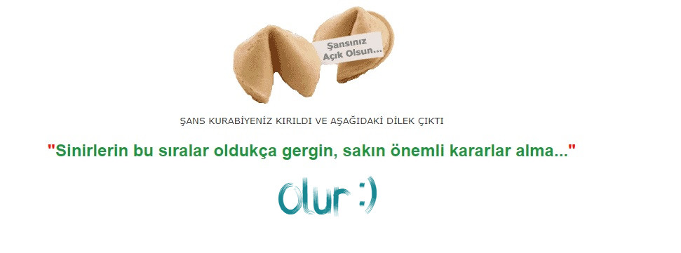�ans kurabiyeniz ne s�yl�yor?
