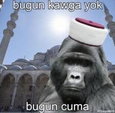 [Resim: JtRl6p.jpg]