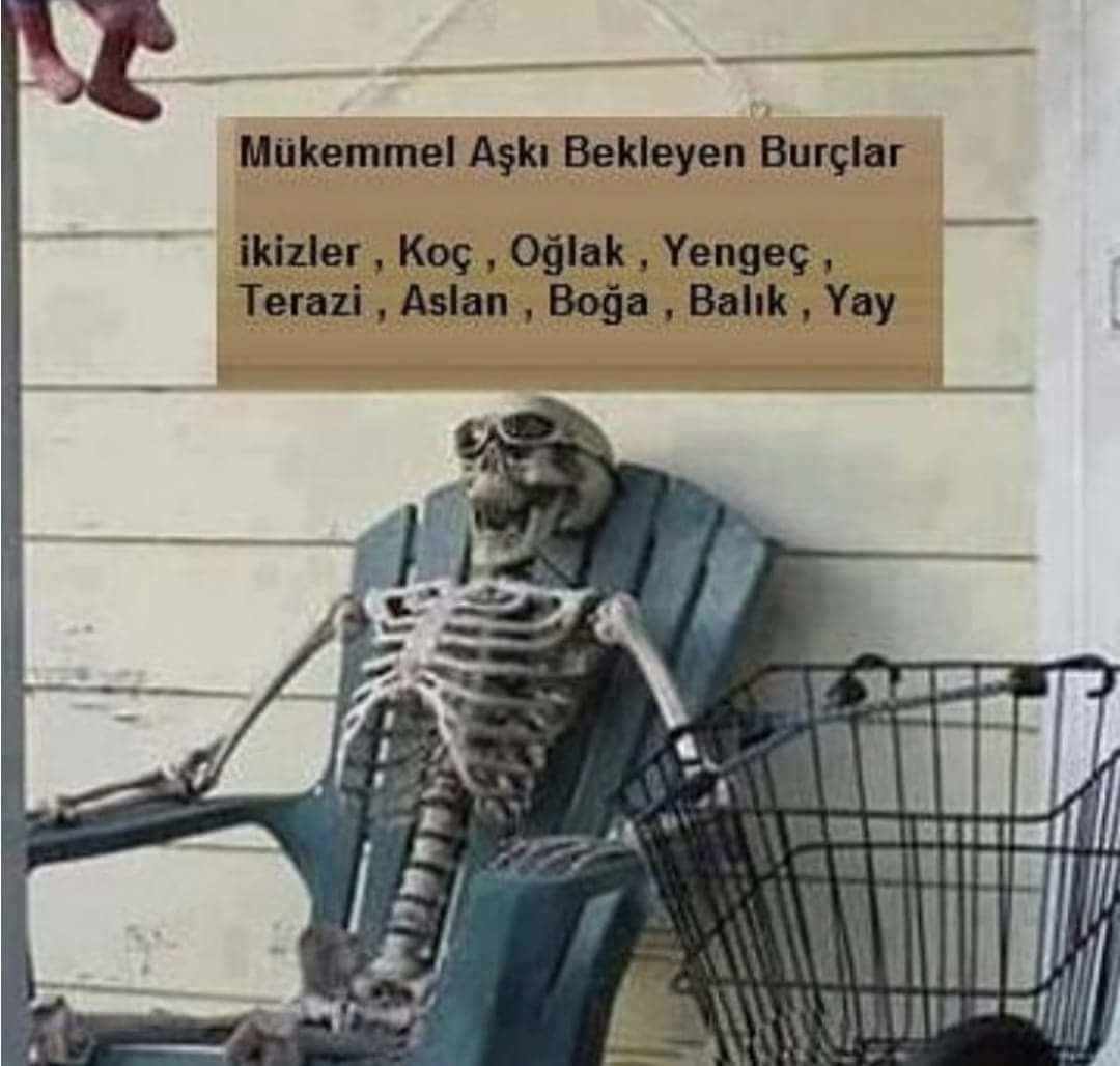 LD79oo.jpg