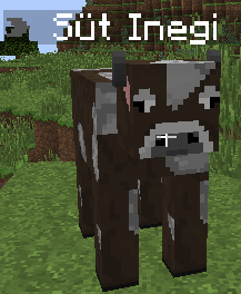 LO0EWG.png