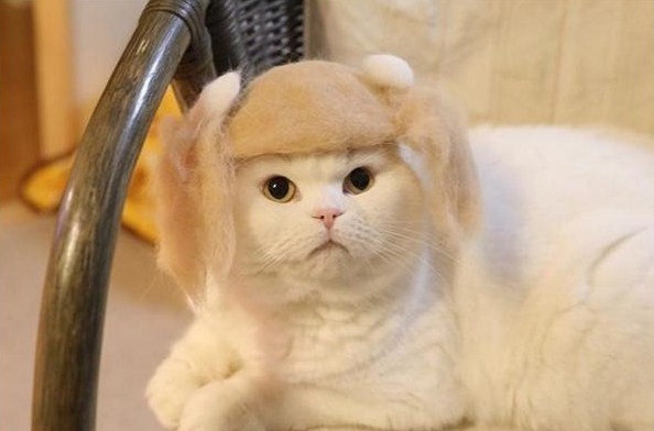 LOzn7a.jpg