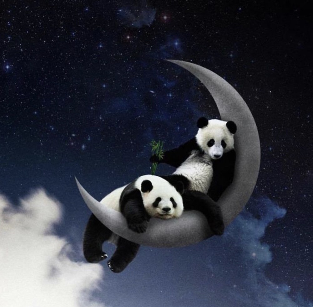 Добрых снов Панда
