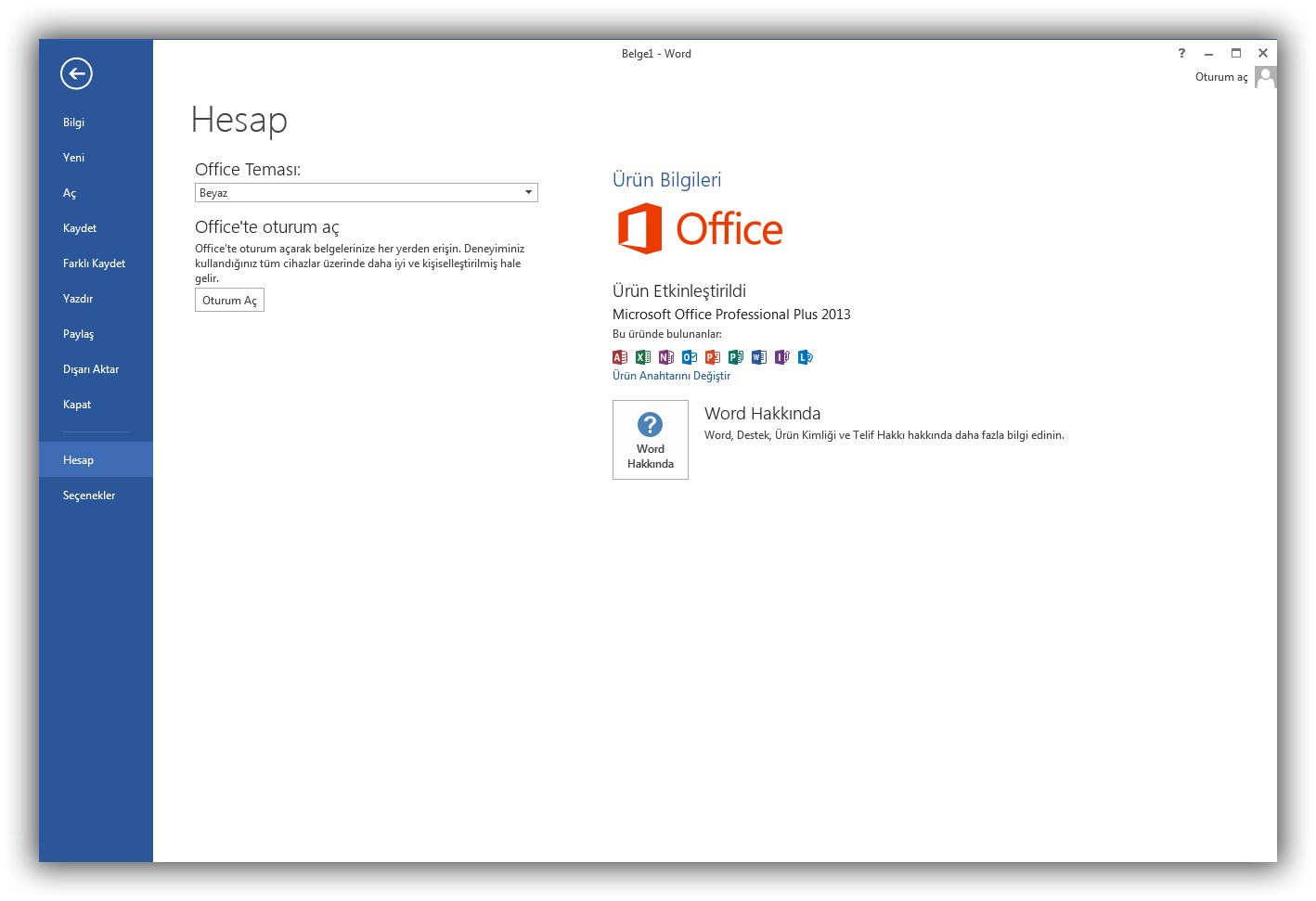 Microsoft Office 2013 Professional Plus SP1 VL TR | Şubat 2020