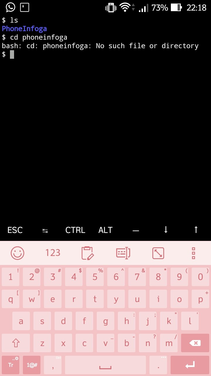 NL81dL.jpg