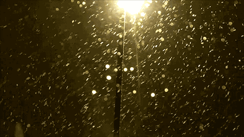 NOWLOg.gif
