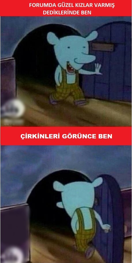 OLpoY4.jpg
