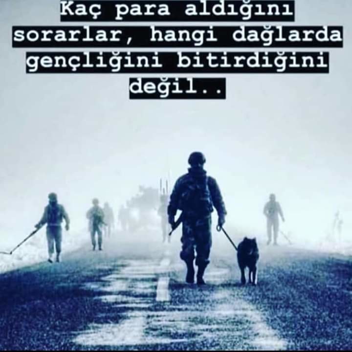 P1n4Rd.jpg