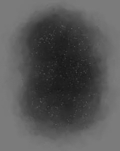 PDv8OO.gif