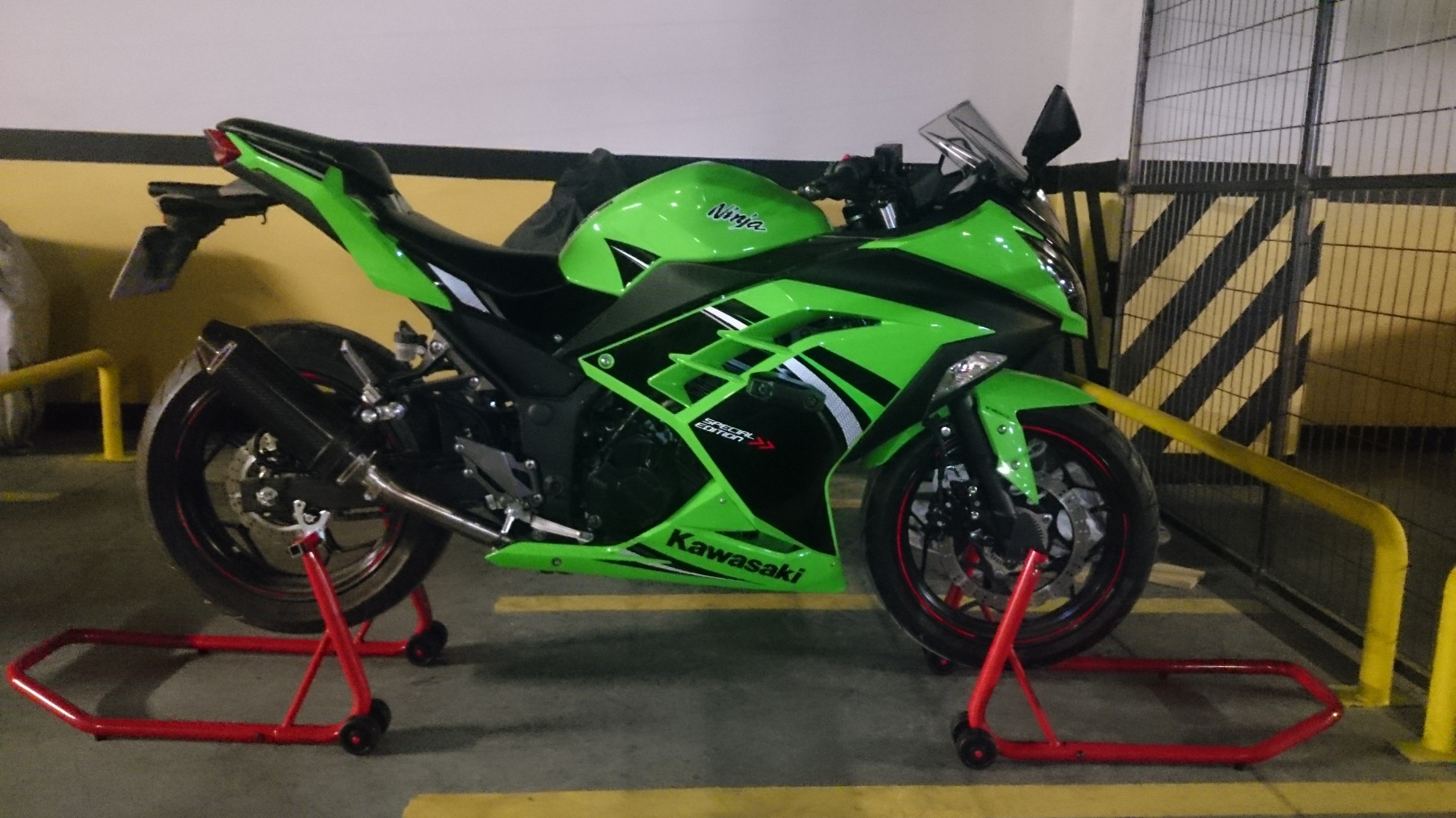 Kawasaki Ninja 300 Stunt