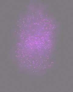 Q21Dpy.gif
