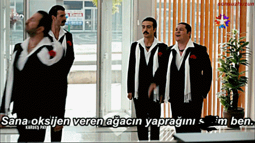 Q2MBOA.png