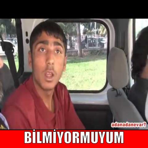 QPYXlV.jpg