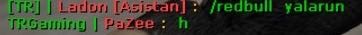 Resim