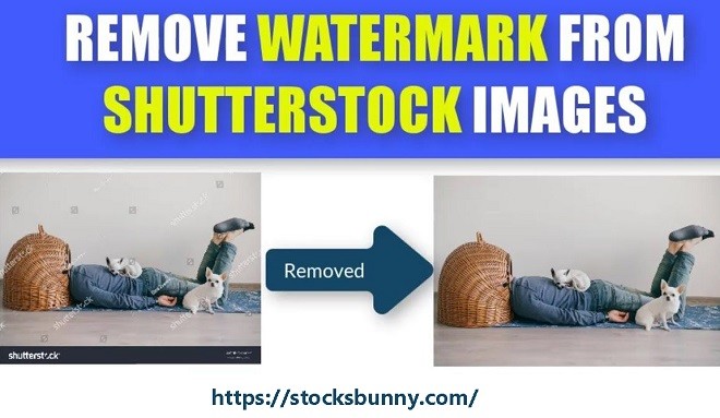 shutterstock image downloader for mac