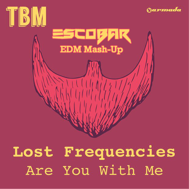 Come with me текст. Lost Frequencies обложка. Lost Frequencies are you with me обложка. Reality Lost Frequencies обложка. Lost Frequencies альбом.