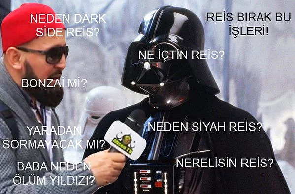 V9691v.jpg