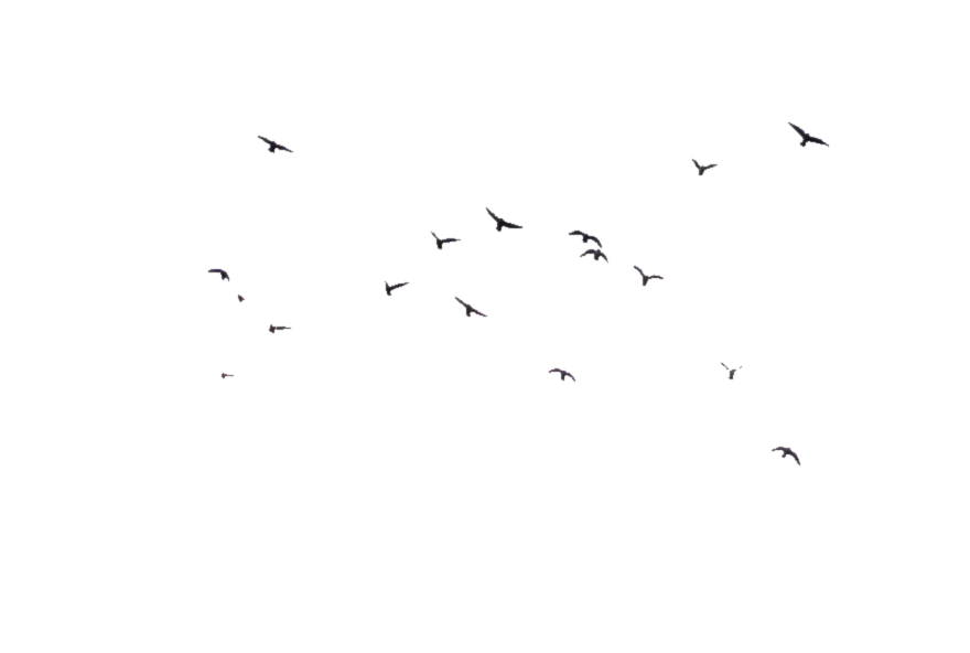 VDl4Vr.png