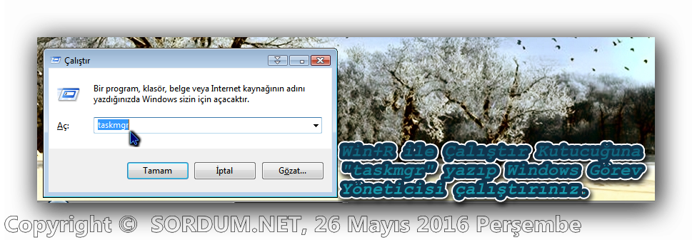 Resim