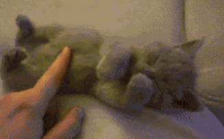 WQ1DXP.gif