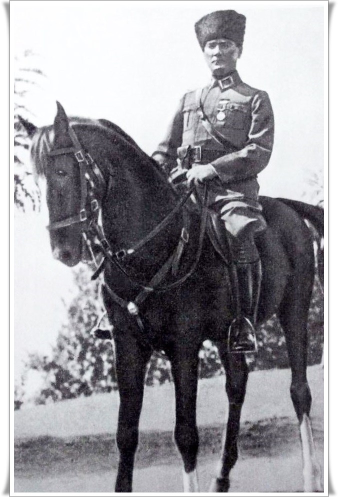 WQJd6E.jpg