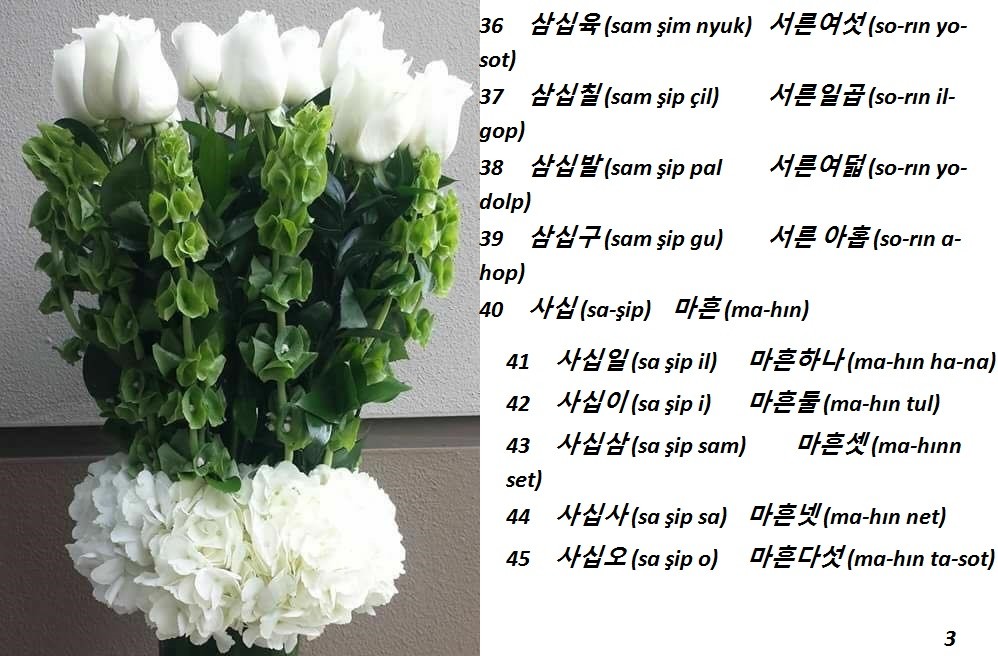 Korece Öğrenelim - Sayfa 5 YQvq1a