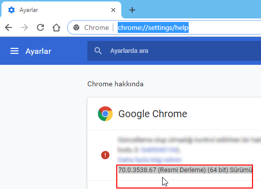 Chrome 106.0