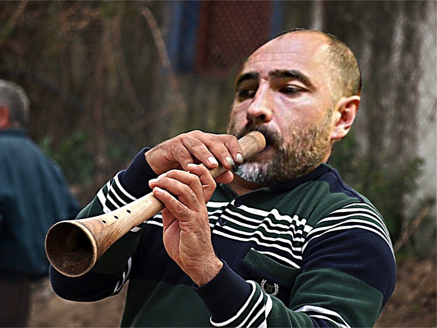 ZE337a.jpg