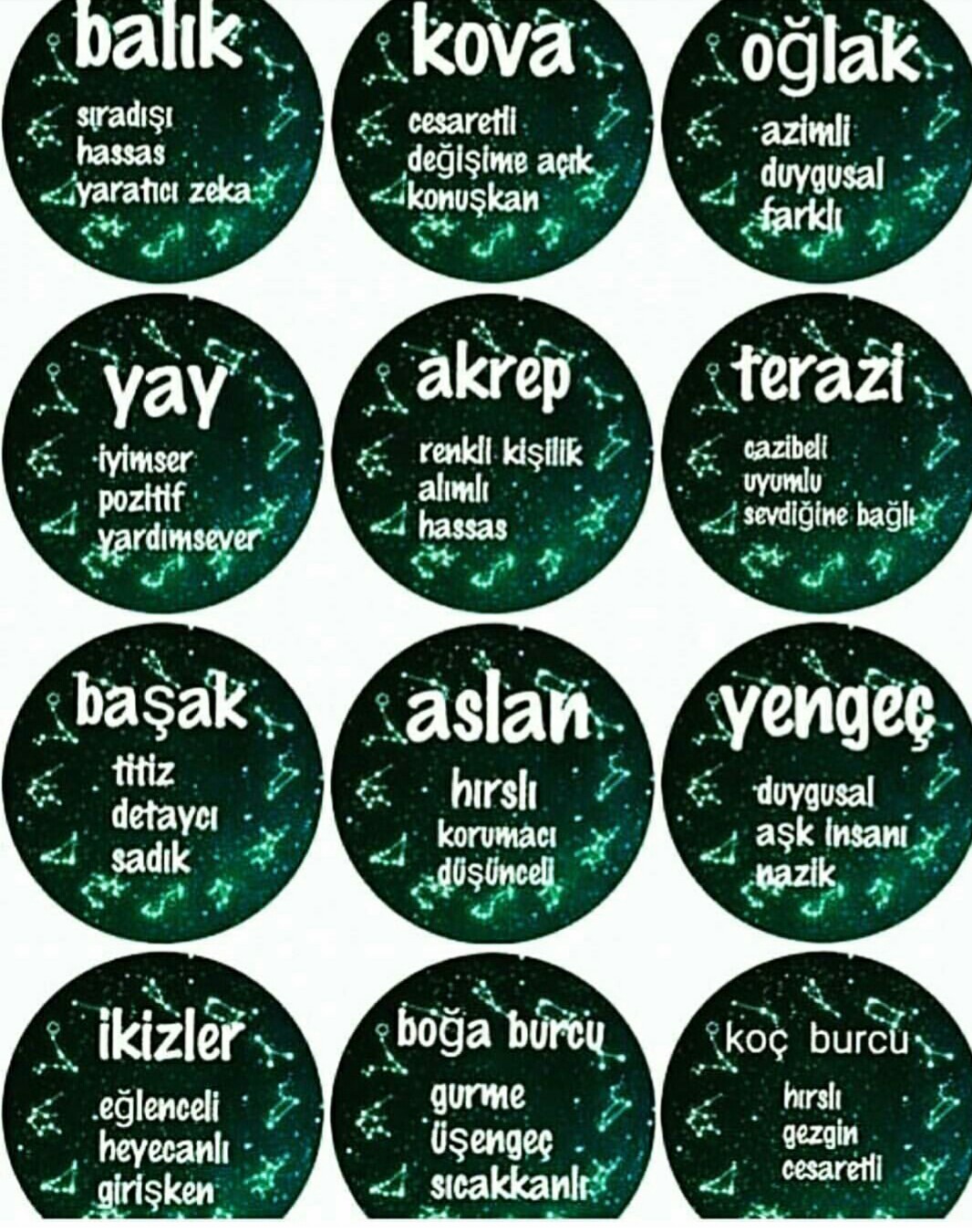 ZEmvlV.jpg