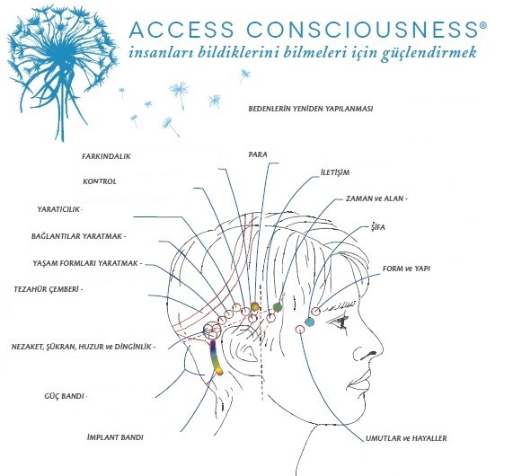 Access Bars Nedir