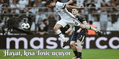 a12ym2.gif