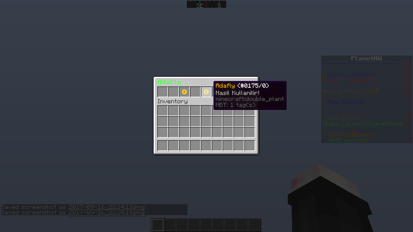a1y17R.png